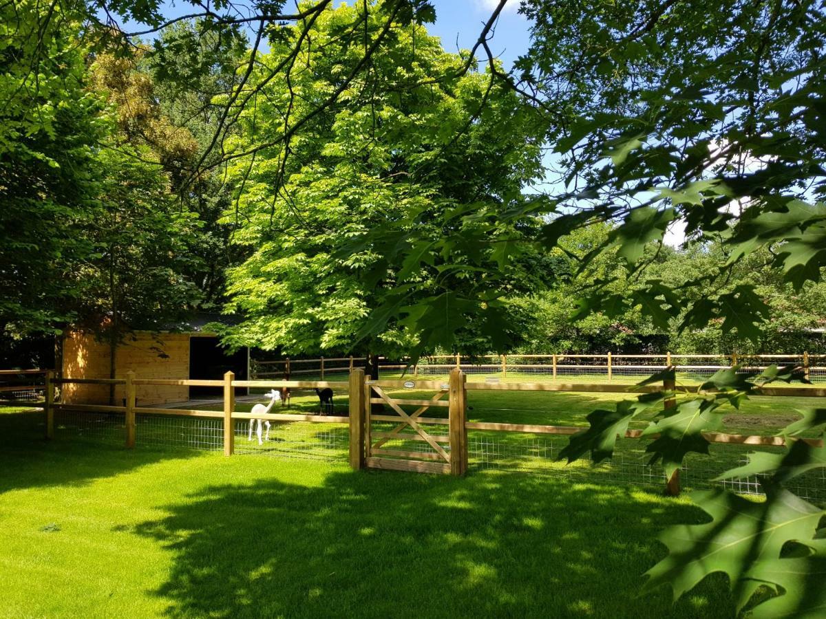 HertsbergeThe Two Oaks - Private Garden For Guests别墅 外观 照片